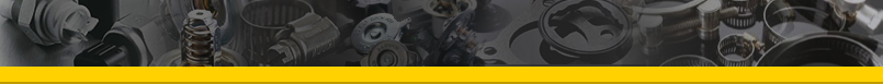 Tridon Web Portal
